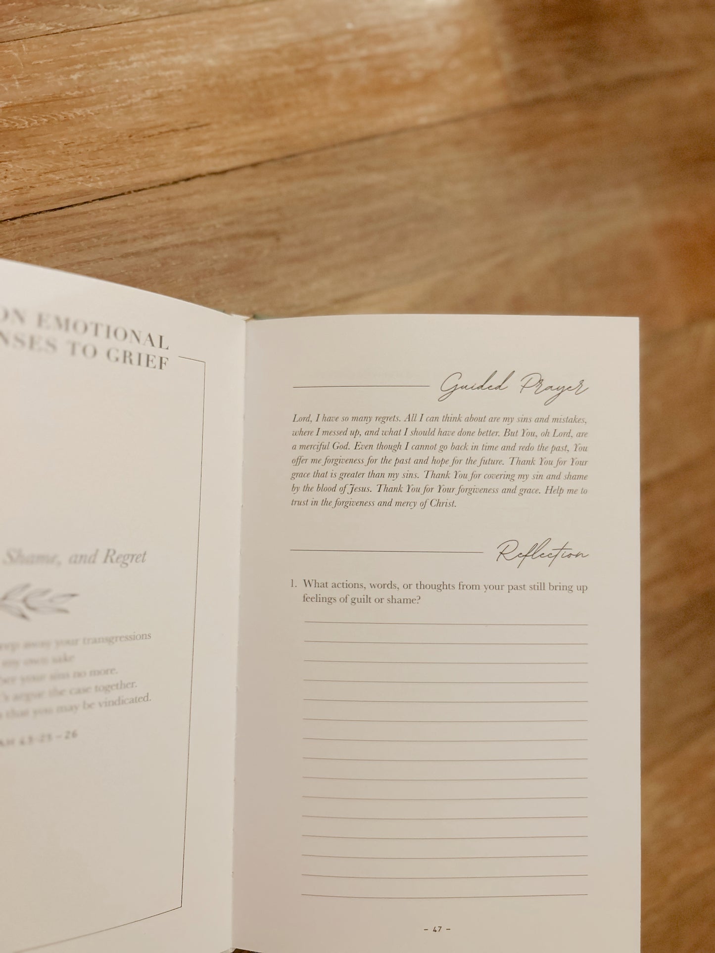 Journal Devotional for Grief and Loss image 2