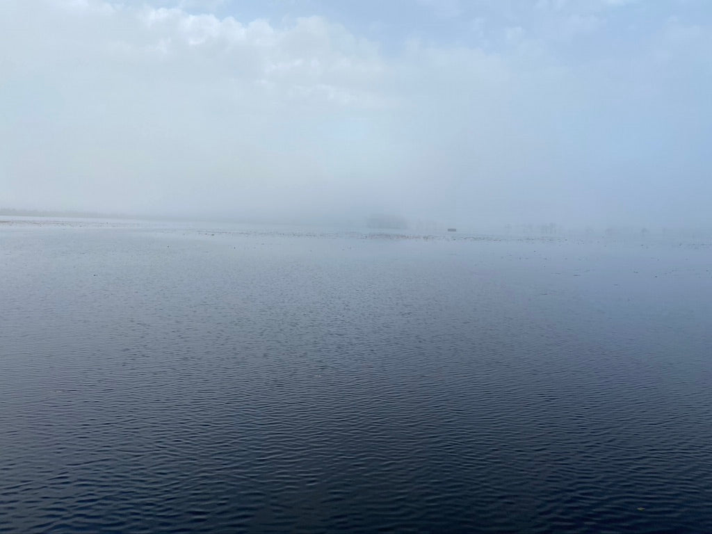 Past the Fog