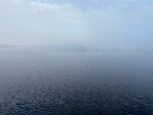 Past the Fog
