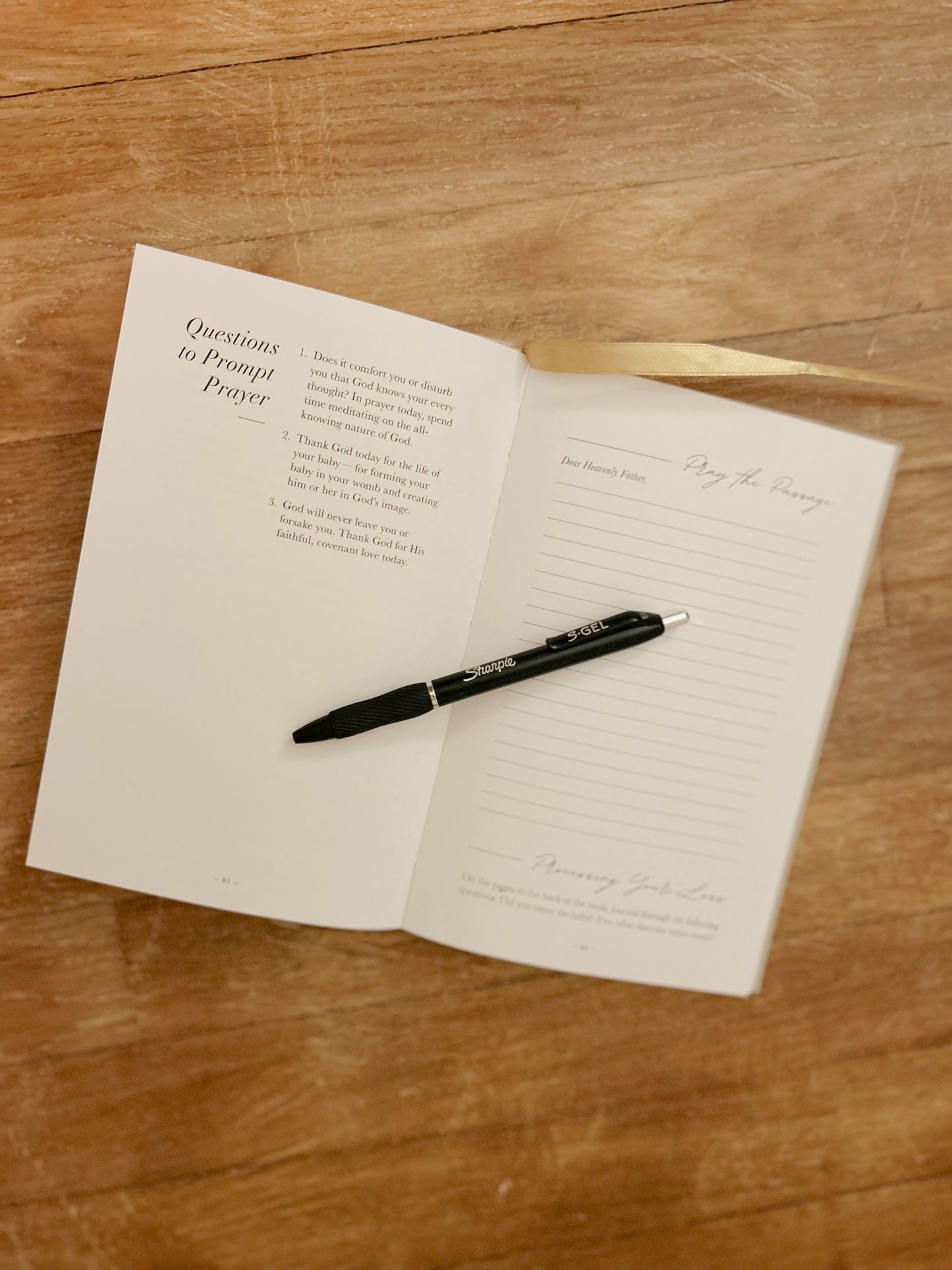 Journal Devotional for Pregnancy and Infant Loss image 2